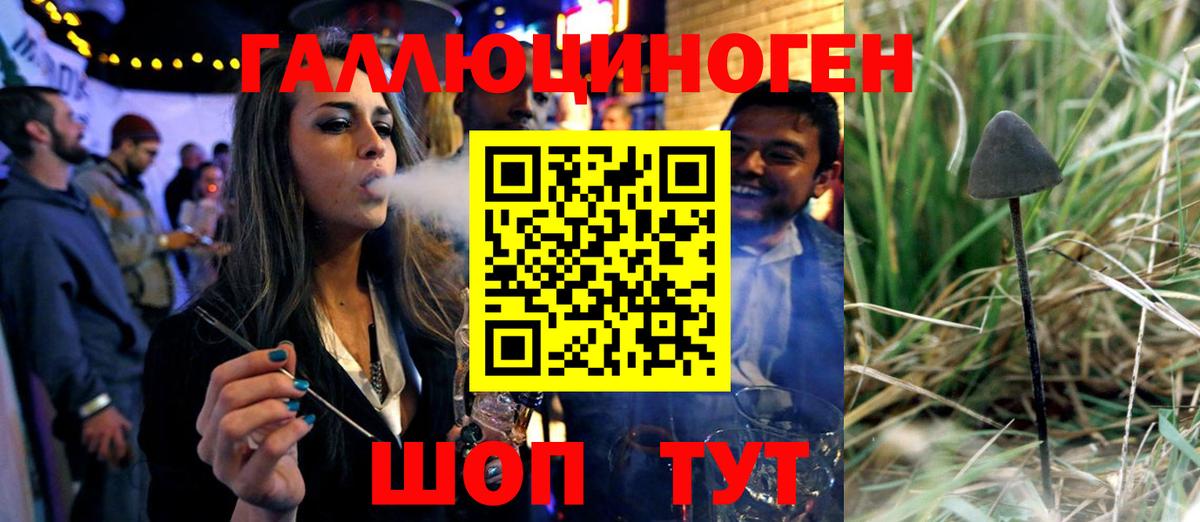 Ейск  хочу   Вход с VPN  Галлюциногенные грибы GOLDEN TEACHER  Псилоцибиновые грибы GOLDEN TEACHER 