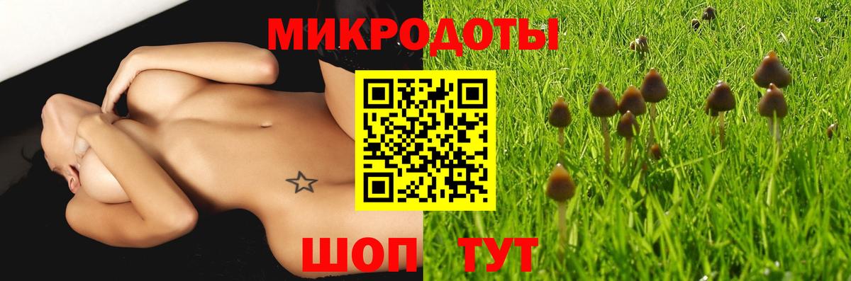 Галлюциногенные грибы Cubensis Ейск
